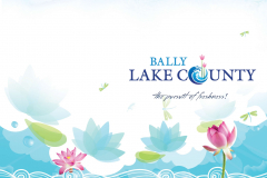 PIONEER PROPERTY MANAGEMENT LTD - Bally Lake County Brochure